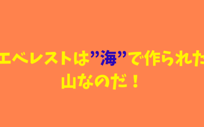 【化石】エベレストは”海”で作られた山なのだ！