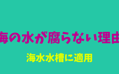 【海水水槽に適用】海の水が腐らない理由！