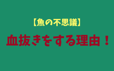 【魚の不思議】血抜きをする理由！