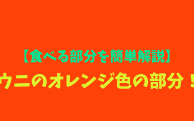 【食べる部分を簡単解説】ウニのオレンジ色の部分！