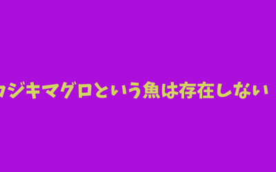 【分類】カジキマグロという魚は存在しない！