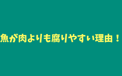 【完全納得】魚が肉よりも腐りやすい理由！