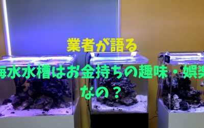 【業者が語る】海水水槽はお金持ちの趣味・娯楽なの？