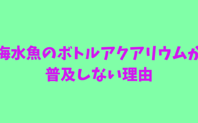 【無理】海水魚のボトルアクアリウムが普及しない理由