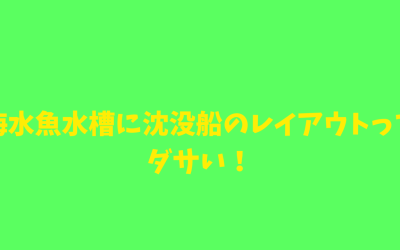 【プロ目線】海水魚水槽に沈没船のレイアウトってダサい！