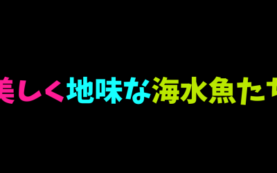 美しく地味な海水魚BEST5！