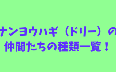 【海水魚水槽】ナンヨウハギ（ドリー）の仲間たちの種類一覧！