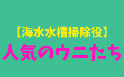 【掃除役】ウニ人気BEST3！鑑賞も優れてる！