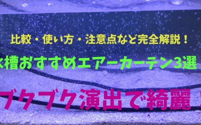 【泡細激美】水槽おすすめエアーカーテン3選！比較・使い方・注意点など完全解説！