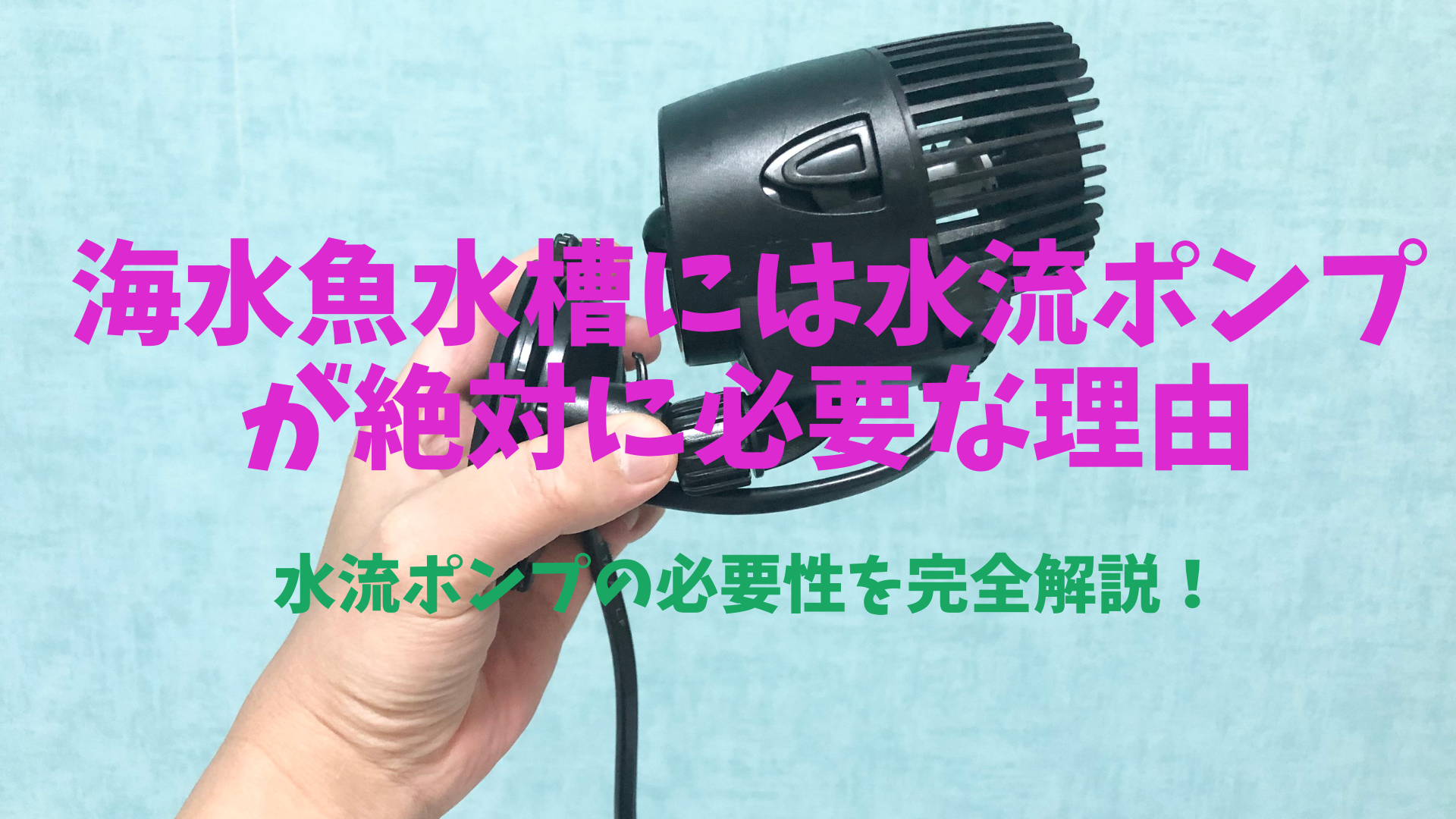 保存版】海水魚水槽には水流ポンプが絶対に必要な理由！ – マリブ 水槽 