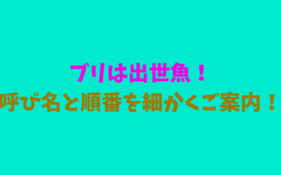 【完全版】ブリは出世魚！呼び名と順番を細かくご案内！