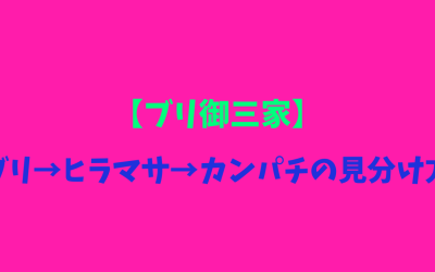 【ブリ御三家】ブリ→ヒラマサ→カンパチの見分け方をわかりやすくにご案内！