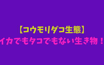 【コウモリダコ生態】イカでもタコでもない生き物！