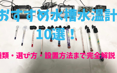 【プロ厳選】おすすめ水槽水温計10選！種類・選び方・設置方法まで完全解説！