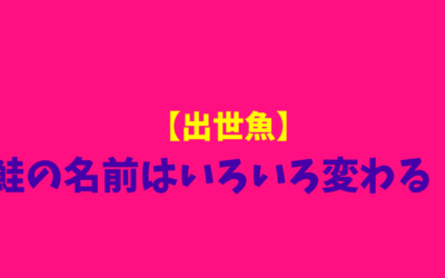 【出世魚】鮭の名前はいろいろ変わる！