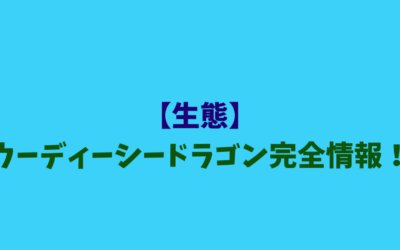 【生態】ウーディーシードラゴン完全情報！