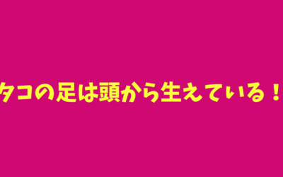 【面白雑学】タコの足は頭から生えている！