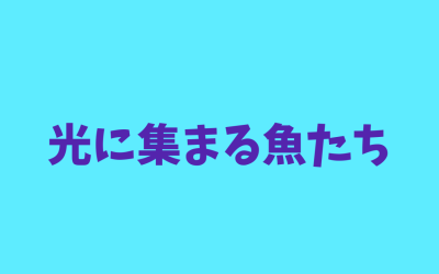 【まとめ】光に集まる魚たち