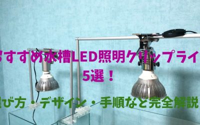 【プロ厳選】おすすめ水槽LED照明クリップライト5選！選び方・デザイン・手順など完全解説！