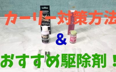 【プロ推薦】カーリー完全対策方法＆おすすめ駆除剤！