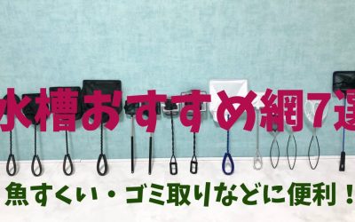 【プロ厳選】水槽おすすめ網（ネット）7選！魚すくい・ゴミ取りなどに便利！