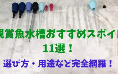 【プロ使用】観賞魚水槽おすすめスポイト11選！選び方・用途など完全網羅！