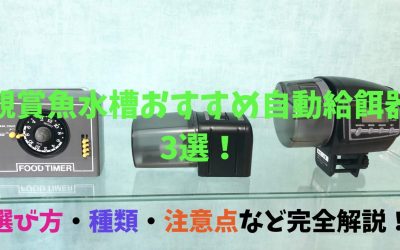 【プロが選ぶ】観賞魚水槽のおすすめ自動給餌器3選！選び方・種類・注意点など完全解説！