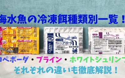 【プロおすすめ】海水魚の冷凍餌種類別一覧！コペポーダ・ブライン・ホワイトシュリンプ！違いも徹底解説！