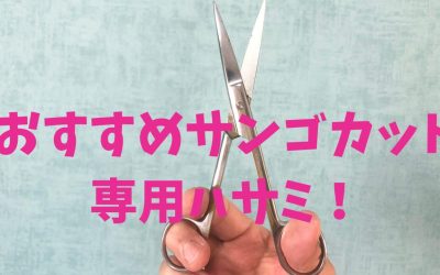 【スパッと便利！】おすすめサンゴカット専用ハサミ！