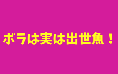 【呼び名】ボラは実は出世魚！基本情報も掲載！