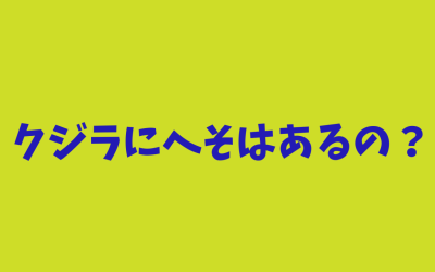 クジラにへそはあるの？