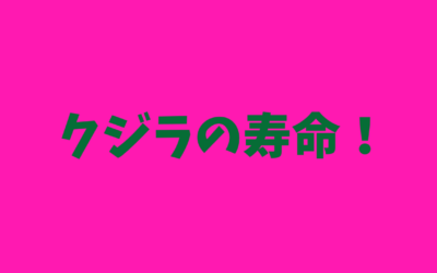 クジラの寿命！