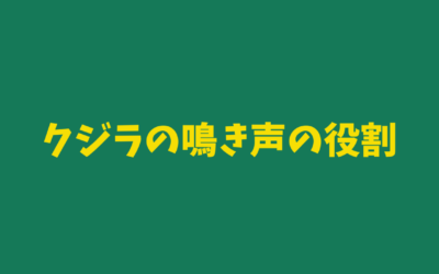 クジラの鳴き声の役割