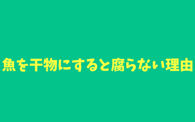 魚を干物にすると腐らない理由