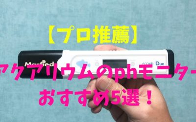 【プロ推薦】アクアリウムのphモニターおすすめ5選！