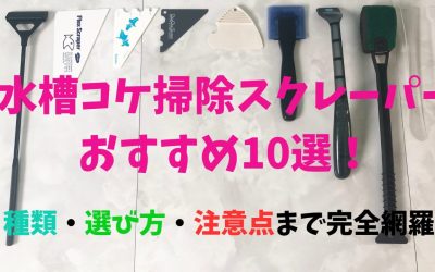 【プロ使用】水槽コケ掃除スクレーパーおすすめ10選！種類・選び方・注意点まで完全網羅！