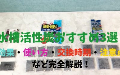 水槽活性炭おすすめ3選！効果・使い方・交換時期・注意点など完全解説！