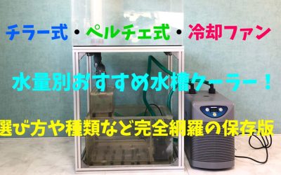 【チラー・ペルチェ・冷却ファン】水量別おすすめ水槽クーラー！選び方や種類など完全網羅の保存版！