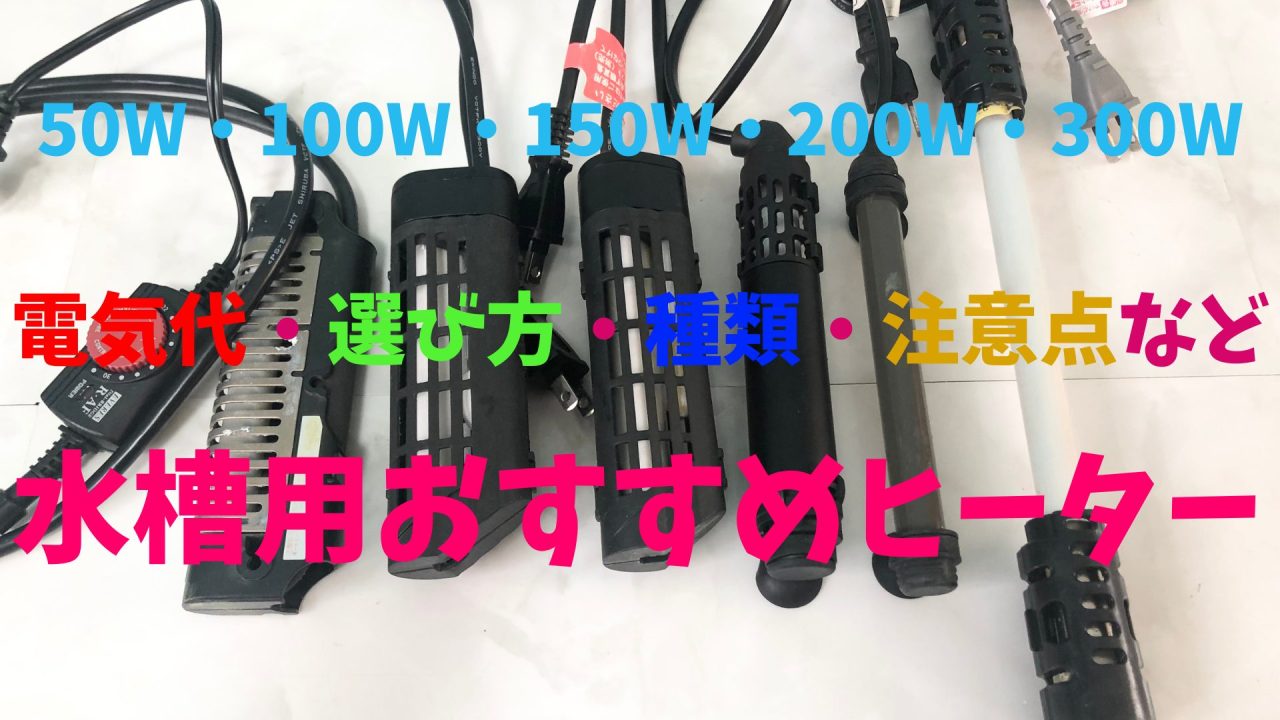 プロ解説】水槽ヒーターW数別おすすめ一覧！電気代・選び方・種類 