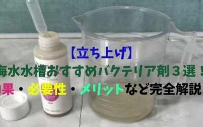 【立ち上げ】海水水槽おすすめバクテリア剤３選！効果・必要性・メリットなど完全解説！