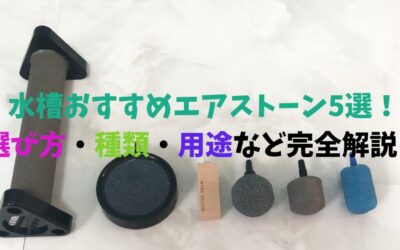 【プロが選ぶ】水槽おすすめエアストーン5選！選び方・種類・用途など完全解説！