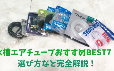 【プロ使用】水槽エアチューブおすすめBEST7！選び方など完全解説！