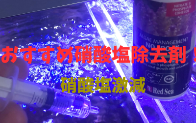 【硝酸塩激減】海水水槽の硝酸塩除去剤おすすめ３選！原因・対処法解説！海水魚・サンゴ飼育の悩みを解消！