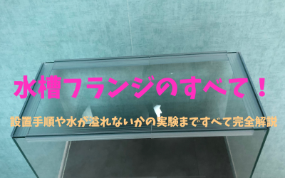 【後付け可能】水槽おすすめフランジ！設置手順や水が溢れないかも実験！