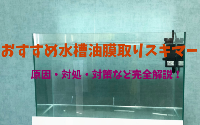 水槽の油膜の原因・対処・対策など完全解説！おすすめ油膜取りスキマーもご案内！