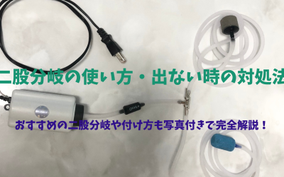 【水槽エアーポンプ】二股分岐の使い方・出ない時の対処法・必要性・おすすめなど完全解説！