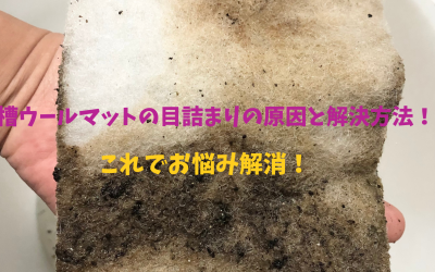 【ろ過に悪影響】水槽ウールマットの目詰まりの原因と解決方法を完全解説！