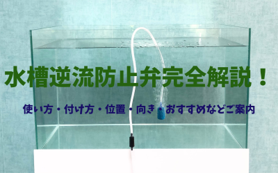 【エアーポンプ】おすすめ逆流防止弁！必要性・使い方・付け方・位置・向きなど完全解説！