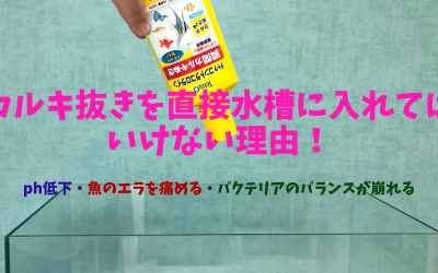 【水道水】カルキ抜きを直接水槽に入れてはいけない理由！