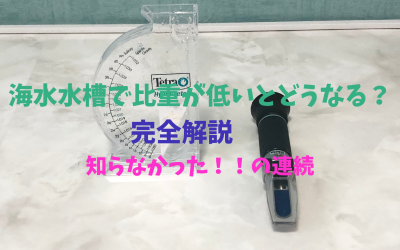 【プロ解説】海水水槽で比重が低いとどうなる？を完全解説！